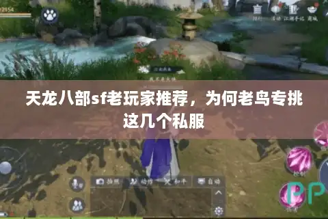 天龙八部sf老玩家推荐，为何老鸟专挑这几个私服