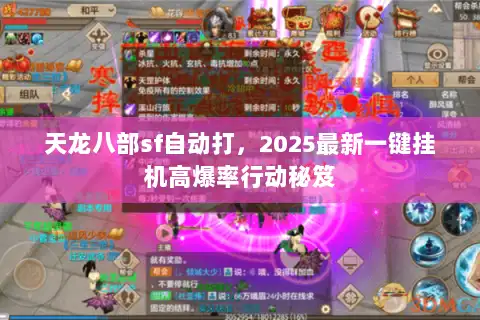 天龙八部sf自动打，2025最新一键挂机高爆率行动秘笈