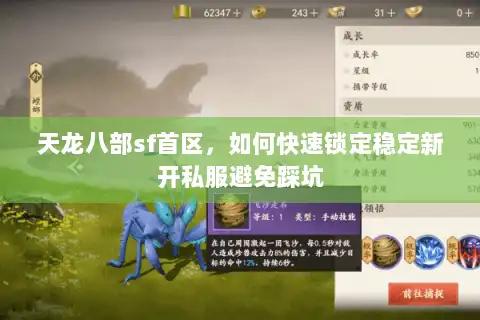 天龙八部sf首区，如何快速锁定稳定新开私服避免踩坑