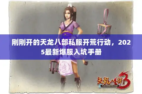 刚刚开的天龙八部私服开荒行动,2025最新爆服入坑手册 刚刚开的天龙八部私服开荒行动,2025最新爆服入坑手册