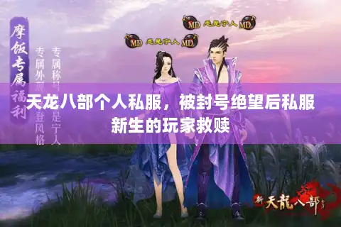 天龙八部个人私服，被封号绝望后私服新生的玩家救赎