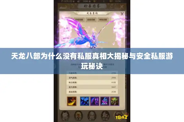 天龙八部为什么没有私服真相大揭秘与安全私服游玩秘诀