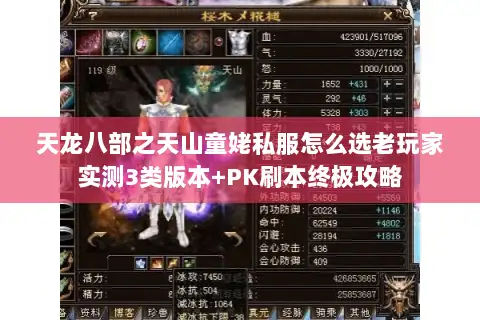 天龙八部之天山童姥私服怎么选老玩家实测3类版本+PK刷本终极攻略