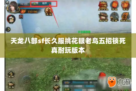 天龙八部sf长久服挑花眼老鸟五招锁死真耐玩版本