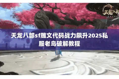 天龙八部sf雕文代码战力飙升2025私服老鸟破解教程