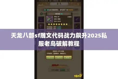 天龙八部sf雕文代码战力飙升2025私服老鸟破解教程
