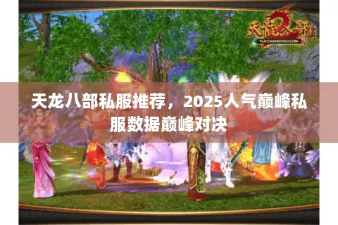 天龙八部私服推荐，2025人气巅峰私服数据巅峰对决