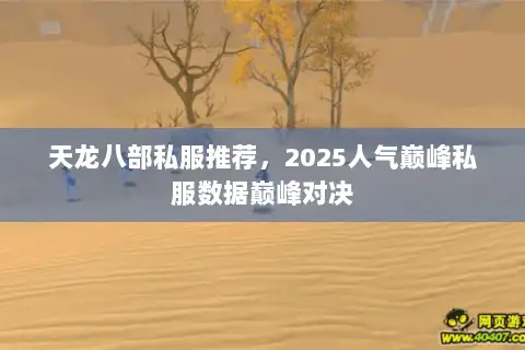 天龙八部私服推荐，2025人气巅峰私服数据巅峰对决