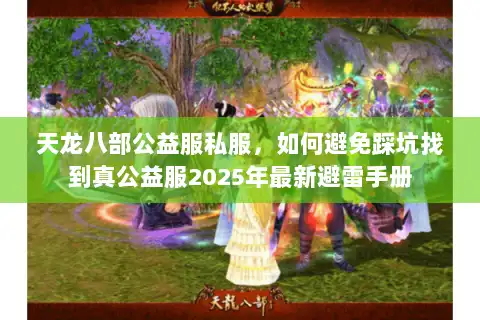 天龙八部公益服私服，如何避免踩坑找到真公益服2025年最新避雷手册