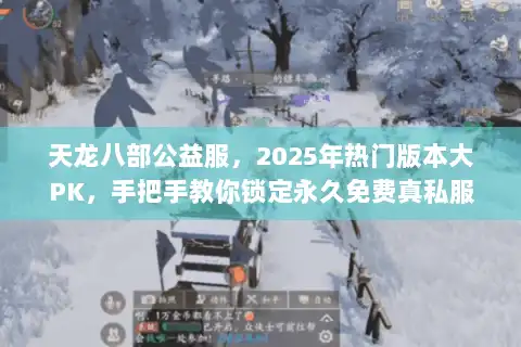 天龙八部公益服，2025年热门版本大PK，手把手教你锁定永久免费真私服