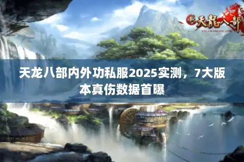 天龙八部内外功私服2025实测，7大版本真伤数据首曝