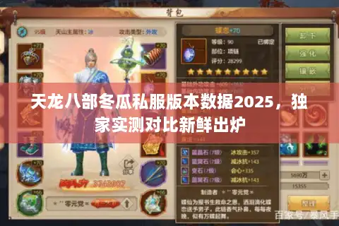 天龙八部冬瓜私服版本数据2025，独家实测对比新鲜出炉
