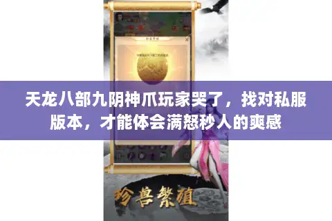 天龙八部九阴神爪玩家哭了，找对私服版本，才能体会满怒秒人的爽感