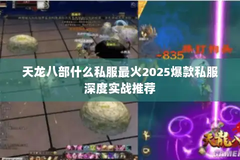 天龙八部什么私服最火2025爆款私服深度实战推荐