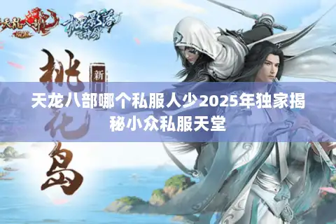 天龙八部哪个私服人少2025年独家揭秘小众私服天堂