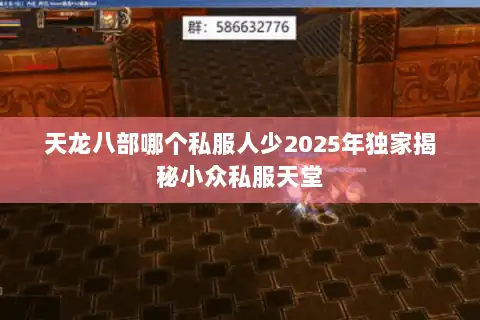 天龙八部哪个私服人少2025年独家揭秘小众私服天堂