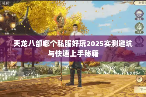 天龙八部哪个私服好玩2025实测避坑与快速上手秘籍