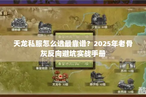 天龙私服怎么选最靠谱？2025年老骨灰反向避坑实战手册