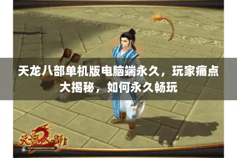 天龙八部单机版电脑端永久，玩家痛点大揭秘，如何永久畅玩