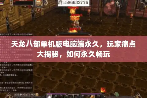 天龙八部单机版电脑端永久，玩家痛点大揭秘，如何永久畅玩