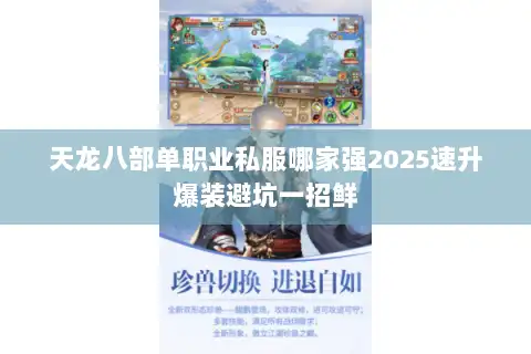 天龙八部单职业私服哪家强2025速升爆装避坑一招鲜