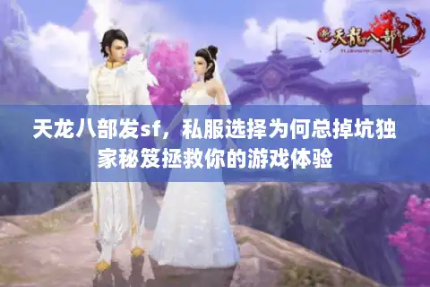 天龙八部发sf，私服选择为何总掉坑独家秘笈拯救你的游戏体验