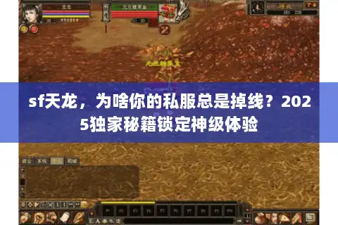 sf天龙，为啥你的私服总是掉线？2025独家秘籍锁定神级体验