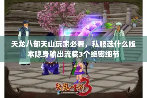 天龙八部天山玩家必看,私服选什么版本隐身输出流藏3个绝密细节 天龙八部天山玩家必看,私服选什么版本隐身输出流藏3个绝密细节