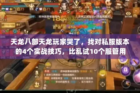 天龙八部天龙玩家哭了，找对私服版本的4个实战技巧，比乱试10个服管用