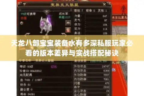 天龙八部宝宝装备水有多深私服玩家必看的版本差异与实战搭配秘诀