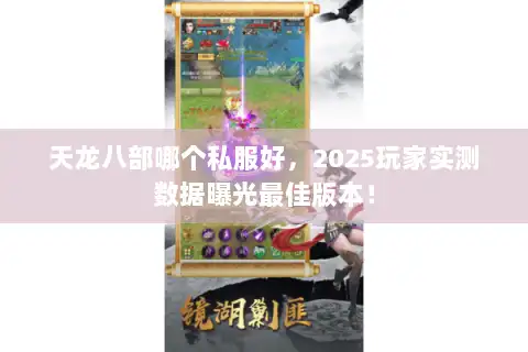 天龙八部哪个私服好，2025玩家实测数据曝光最佳版本！