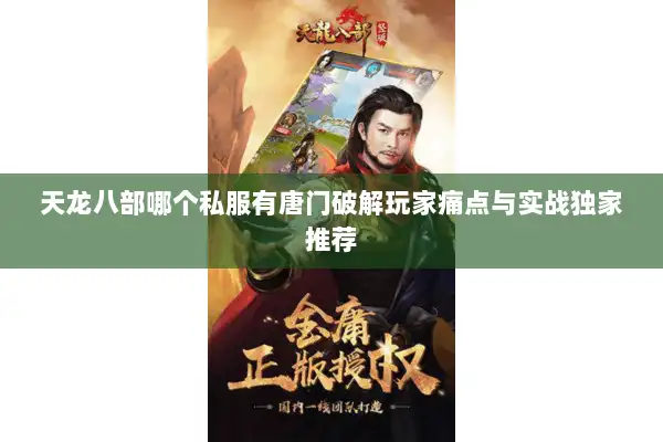 天龙八部哪个私服有唐门破解玩家痛点与实战独家推荐