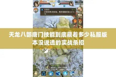 天龙八部唐门技能到底藏着多少私服版本没说透的实战杀招 天龙八部唐门技能到底藏着多少私服版本没说透的实战杀招