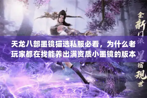 天龙八部墨镜猫选私服必看，为什么老玩家都在找能养出满资质小墨镜的版本