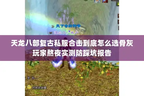 天龙八部复古私服合击到底怎么选骨灰玩家熬夜实测防踩坑报告