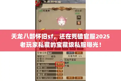 天龙八部怀旧sf，还在死磕官服2025老玩家私藏的宝藏级私服曝光！