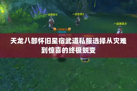 天龙八部怀旧星宿武道私服选择从灾难到惊喜的终极蜕变