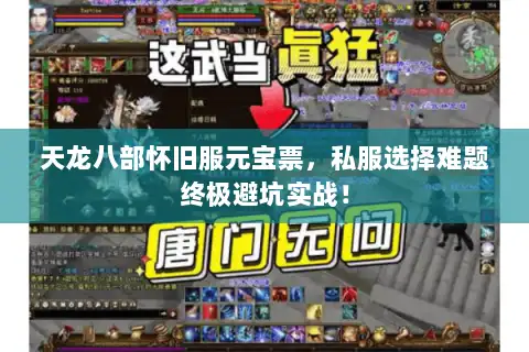 天龙八部怀旧服元宝票,私服选择难题终极避坑实战! 天龙八部怀旧服元宝票,私服选择难题终极避坑实战!