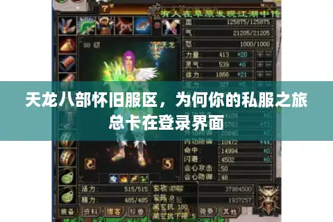 天龙八部怀旧服区，为何你的私服之旅总卡在登录界面