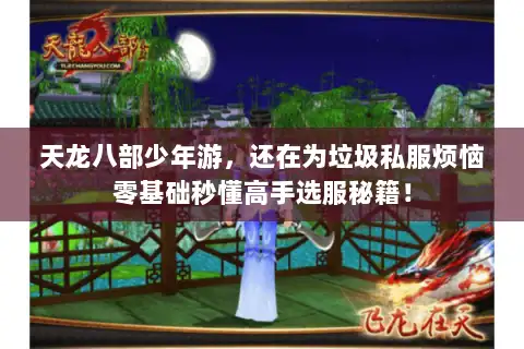天龙八部少年游，还在为垃圾私服烦恼零基础秒懂高手选服秘籍！