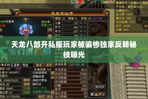 天龙八部开私服玩家被骗惨独家反转秘技曝光