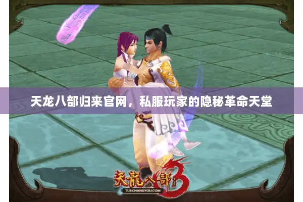 天龙八部归来官网，私服玩家的隐秘革命天堂