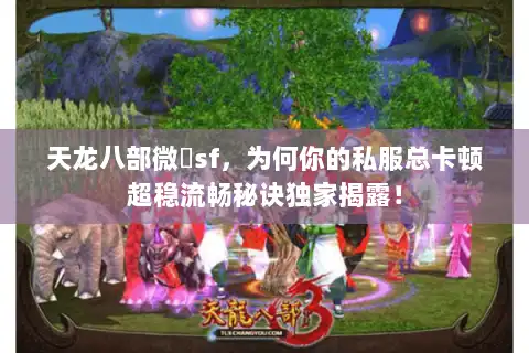 天龙八部微變sf，为何你的私服总卡顿超稳流畅秘诀独家揭露！
