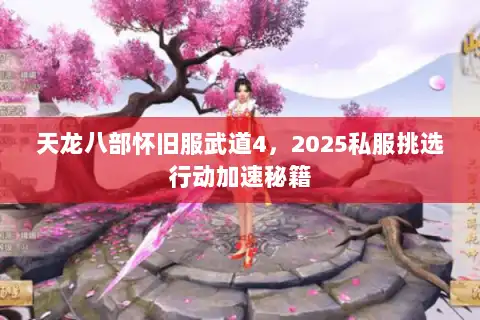 天龙八部怀旧服武道4,2025私服挑选行动加速秘籍 天龙八部怀旧服武道4,2025私服挑选行动加速秘籍