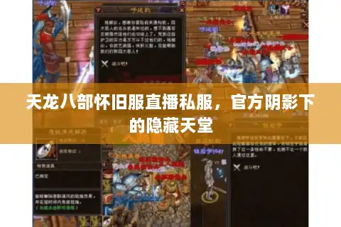 天龙八部怀旧服直播私服,官方阴影下的隐藏天堂 天龙八部怀旧服直播私服,官方阴影下的隐藏天堂
