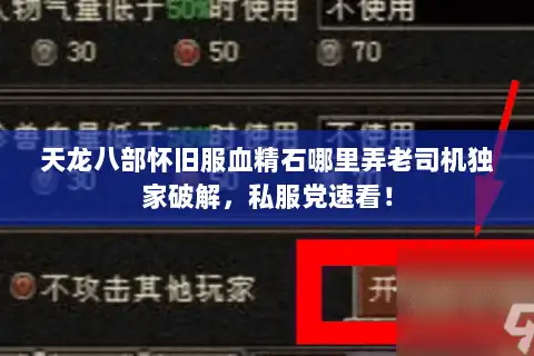 天龙八部怀旧服血精石哪里弄老司机独家破解，私服党速看！