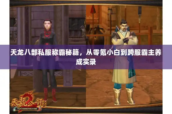 天龙八部私服称霸秘籍，从零氪小白到跨服霸主养成实录